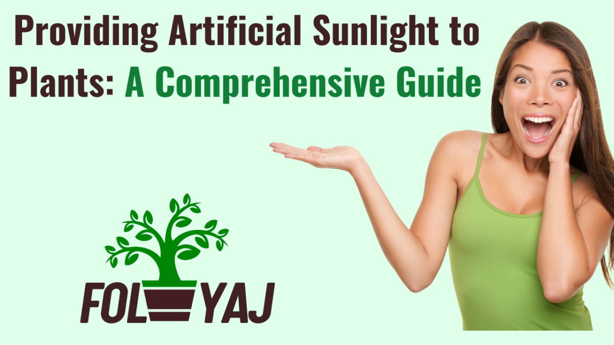 Providing Artificial Sunlight to Plants: A Comprehensive Guide