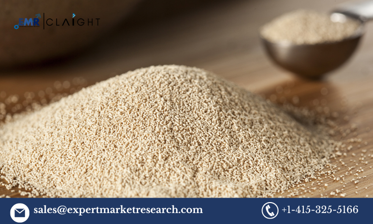 Yeast Extract Price: Market Trends, Influencing Factors, and Forecast