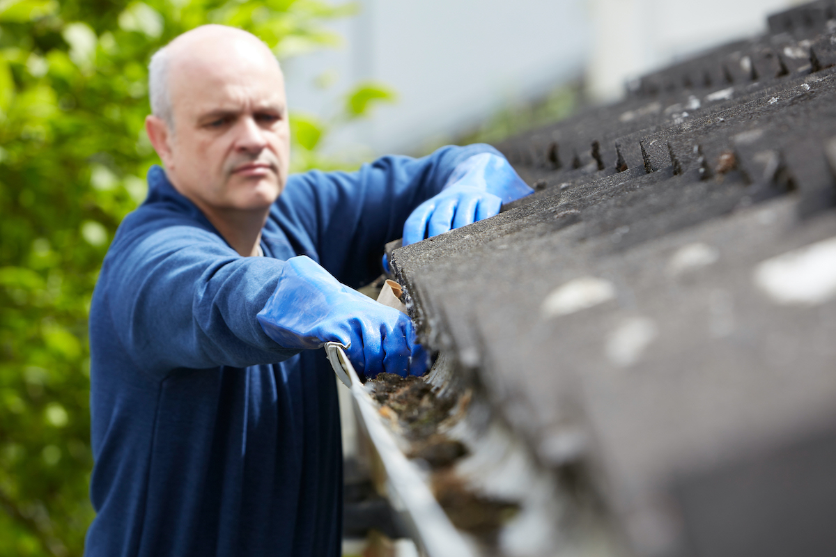 The Connection Between Roof Cleaning and Energy Efficiency in Your Home