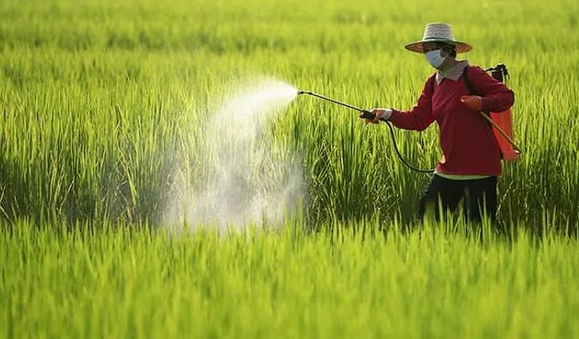 pesticides in agriculture in pakistan