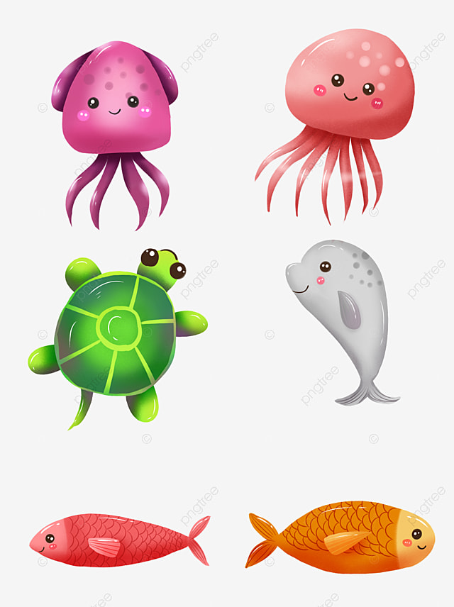 How To Download Sea Animals Free HD Photos