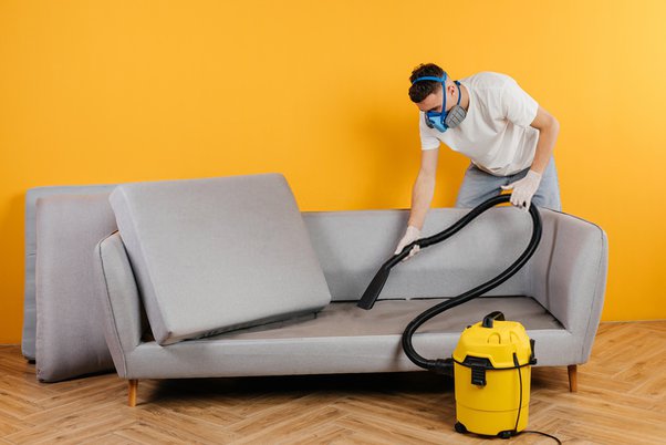 Ultimate Guide to Eco-Friendly Upholstery Cleaning in Milton