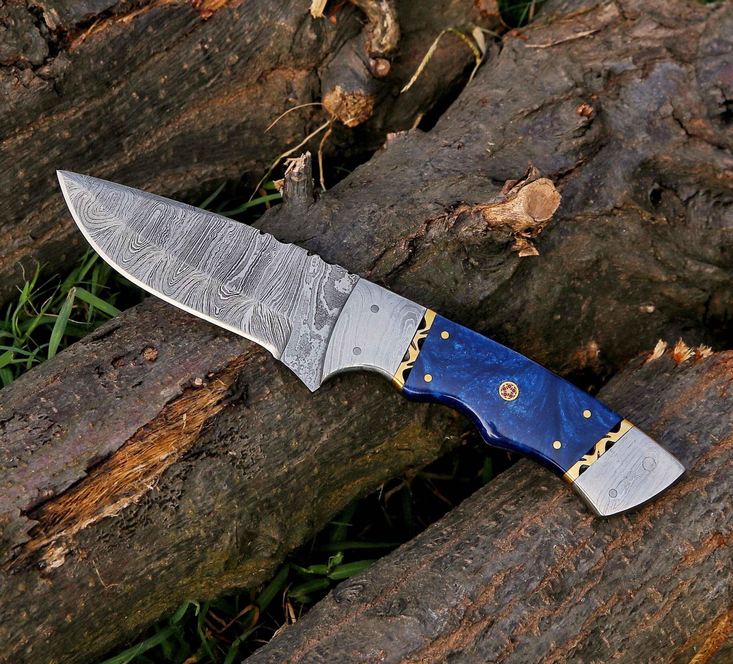 Top 5 Hunting Knives for Beginners: Quality Picks to Start Your Collection