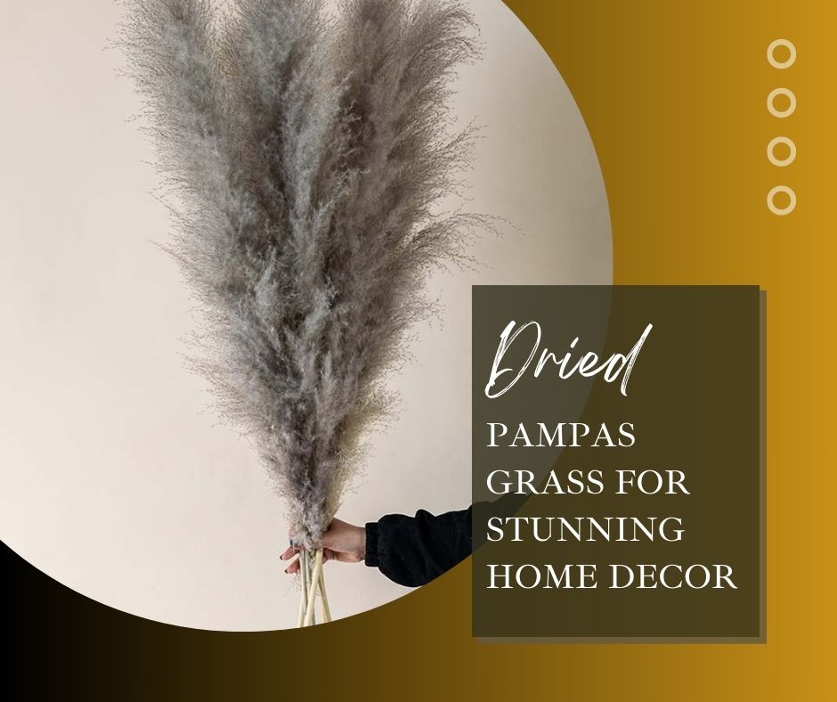 Tips for Fluffing Up Dried Pampas Grass for Stunning Home Decor