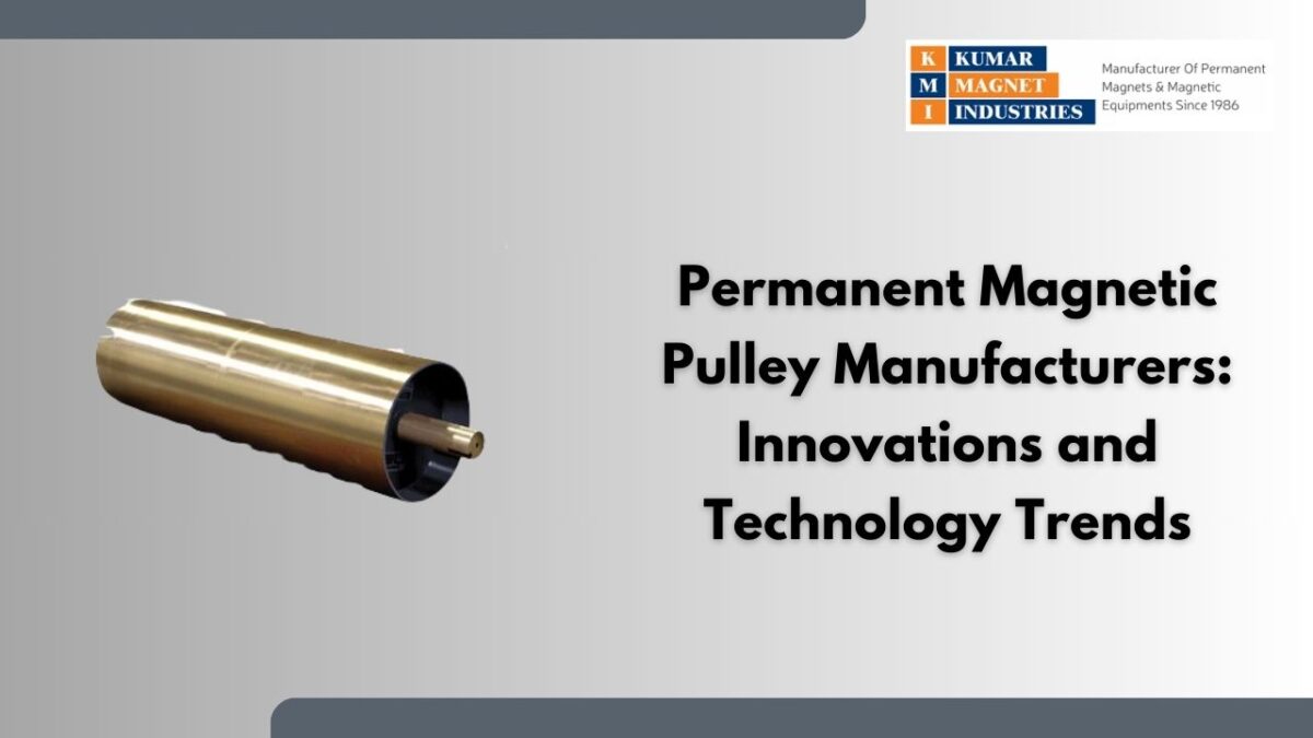 Permanent Magnetic Pulley Manufacturers: Innovations and Technology Trends