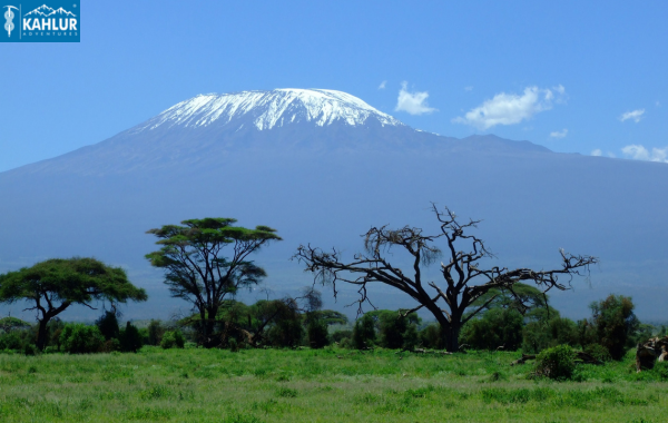 Mount Kilimanjaro: The Ultimate Guide by Kahlur Adventures