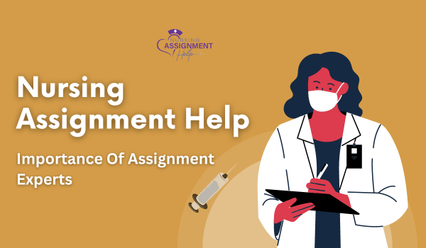 Nursing Assignment Help: Importance Of Assignment Experts