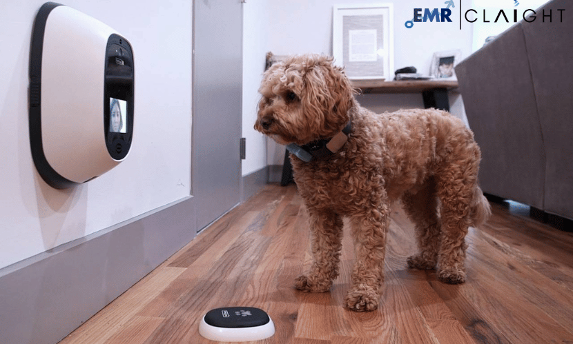 Comprehensive Analysis and Forecast of the Global Pet Tech Market (2024-2032)