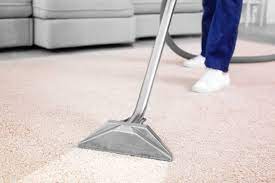Professional Carpet Cleaning: Essential for Removing Deep-Seated Dirt
