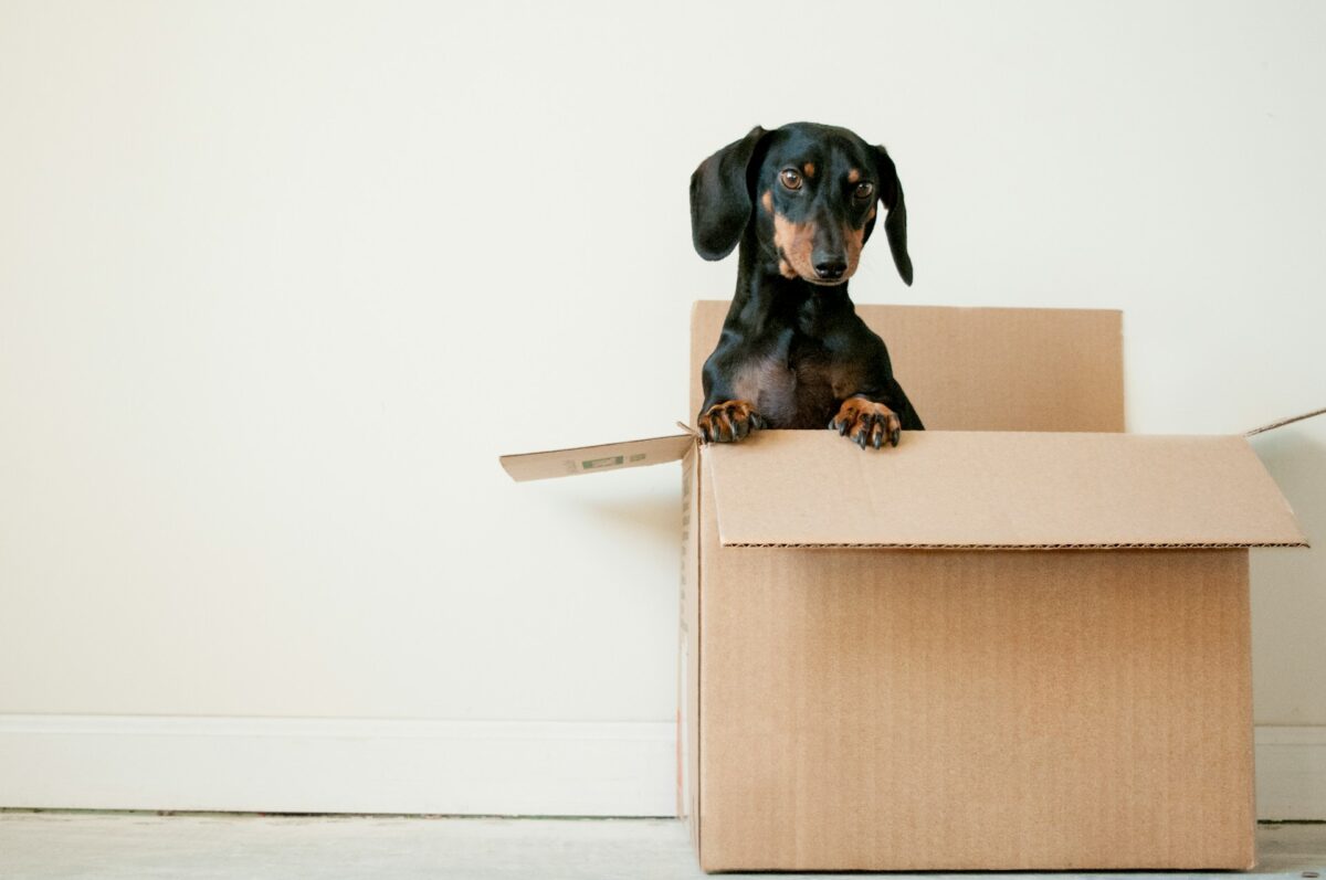 How to Choose the Right Moving Company