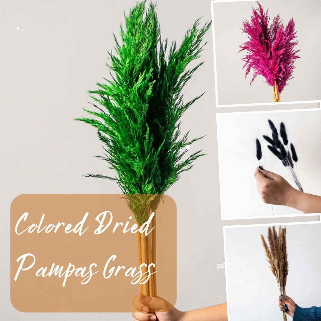 Colored Dried Pampas Grass Will Create a Jaw-Dropping Home Decoration