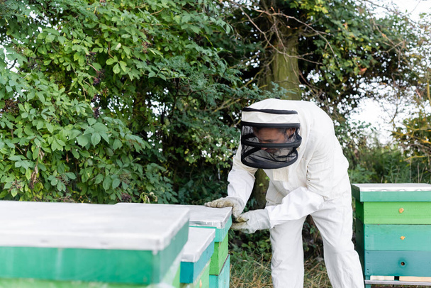 Ventilated Bee Suit UK: The Ultimate Guide to Choosing and Using the Best Bee Suit