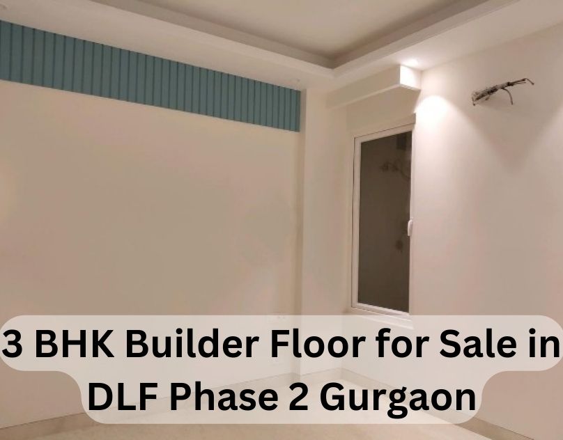Builder Floor in Dlf Phase 2 Gurgaon