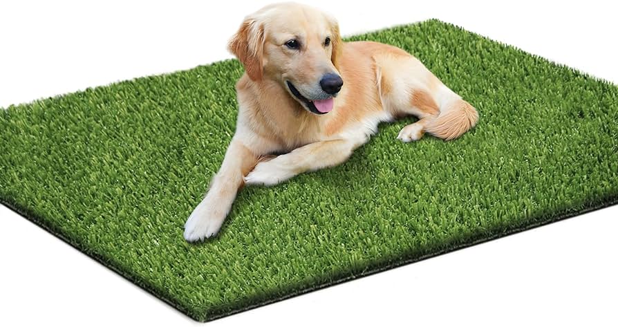 Artificial Grass