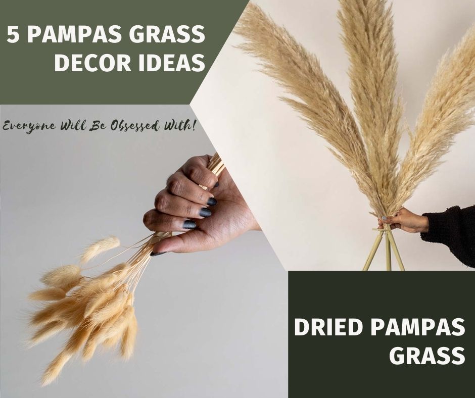 Dried pampas grass home decor India