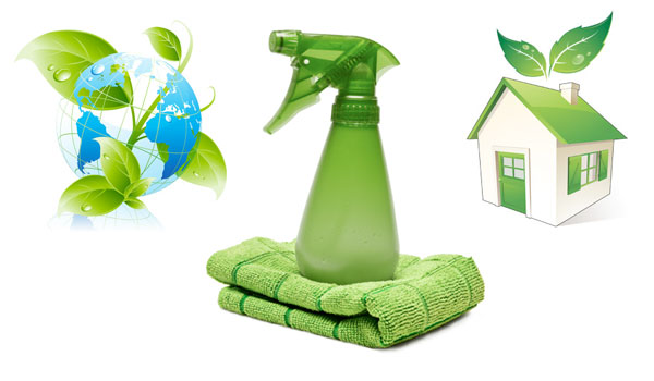 Organic Cleaning Services