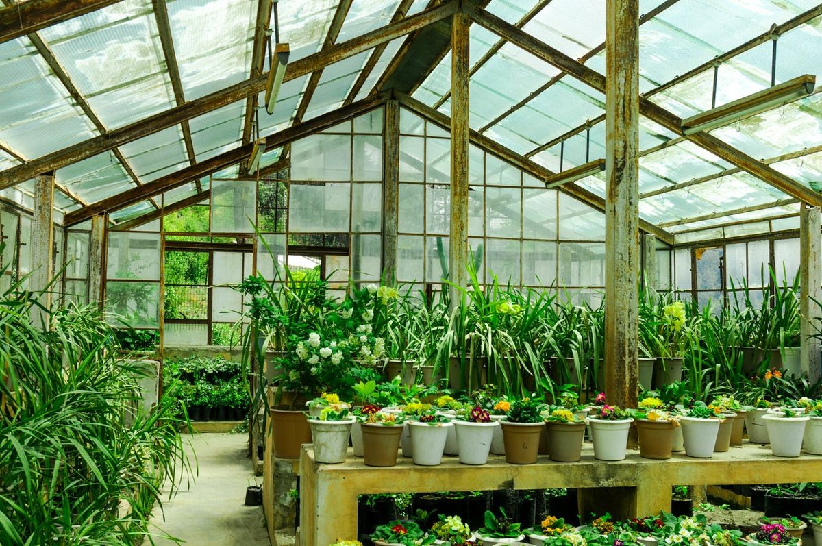 Machinery Requirements for Setting Up a Greenhouse Manufacturing Plant