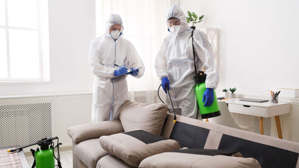 Pest Control Services in Lahore and termite treatment in lahore