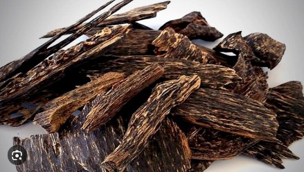 best agarwood export company