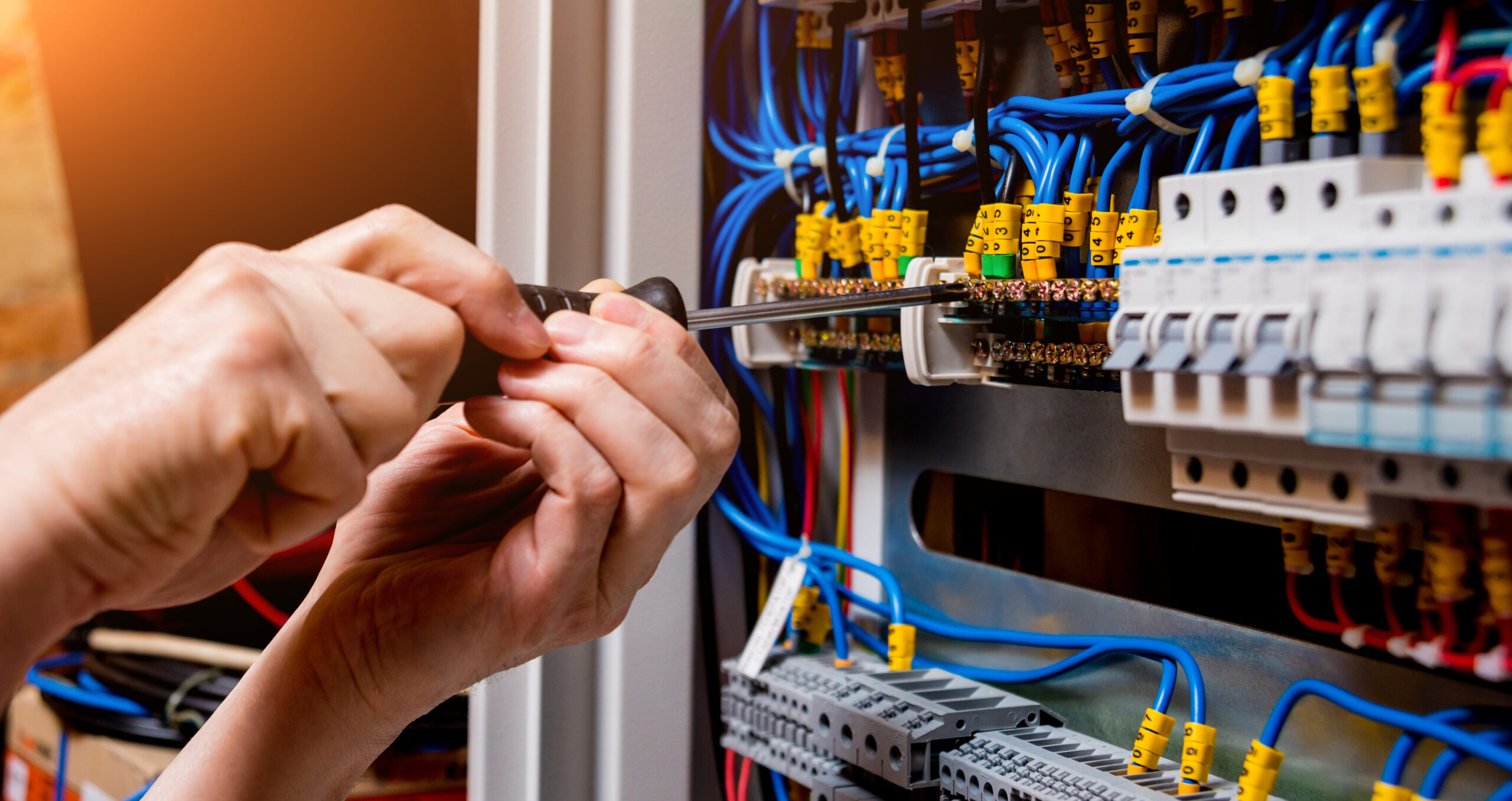 What Types of Electrical Services Do We Offer? | Bad Monkey Electric in Maryland