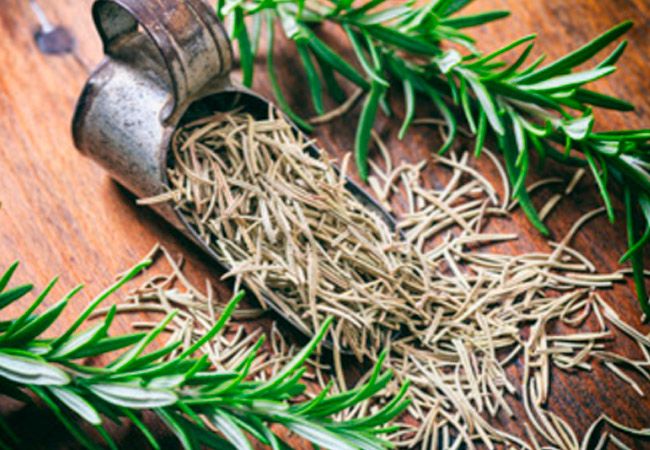 Dried Rosemary Leaves