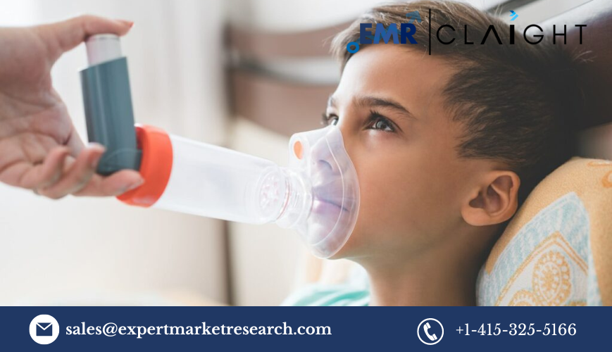 North America Respiratory Inhalers Market: Competitor Landscape and Emerging Trends (2024-2032)