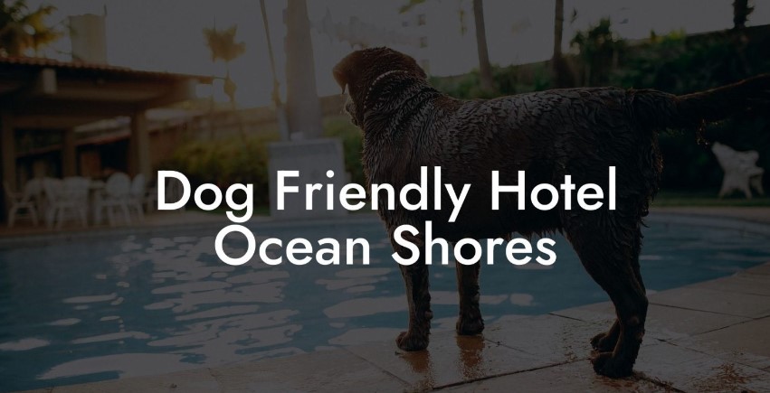 Ocean shores hotels pet friendly