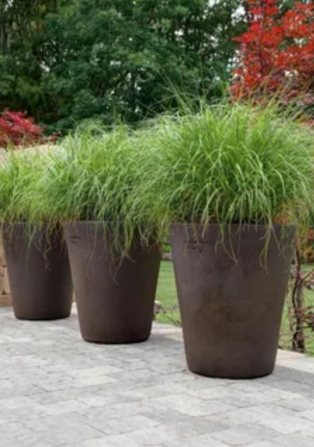 Three large planters filled with lush green grass, enhancing the outdoor aesthetic with vibrant greenery.