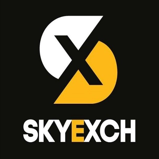 How SkyExchange Protects Your Personal Information