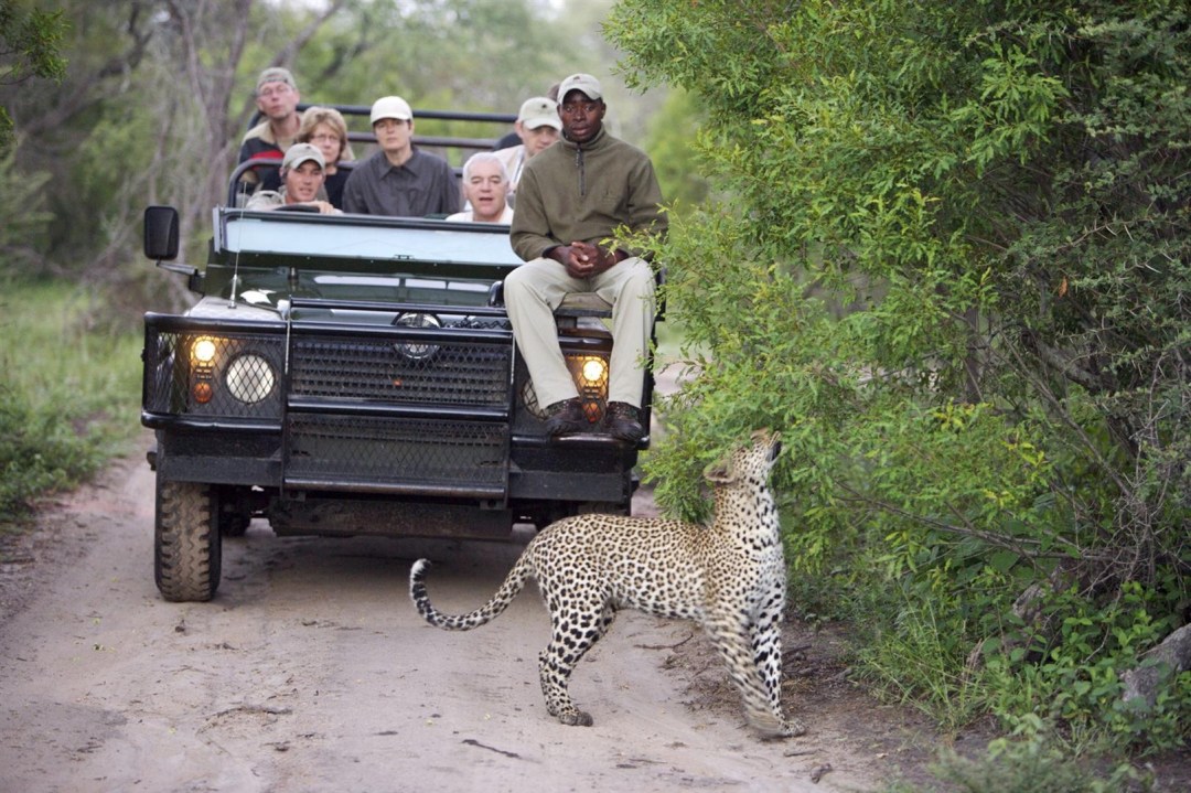 Indulge in Luxury at Kruger Park’s Finest Lodges – Your Ultimate Safari Stay