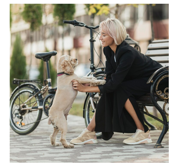 Bicycle Sidecar for Pets