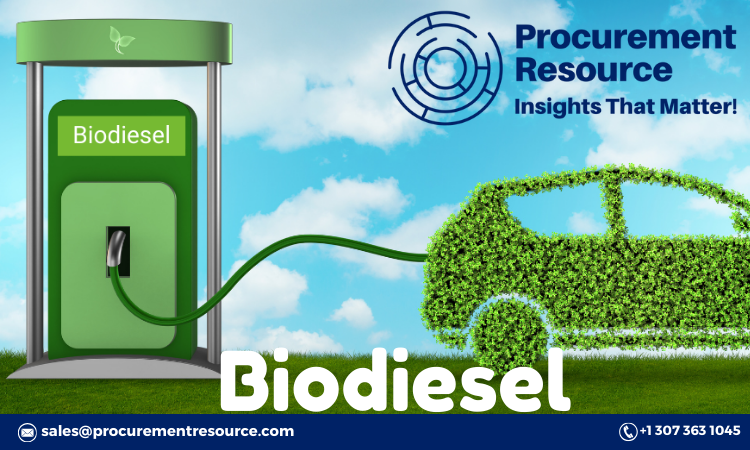 Biodiesel Production Process with Cost Analysis: An In-Depth Overview