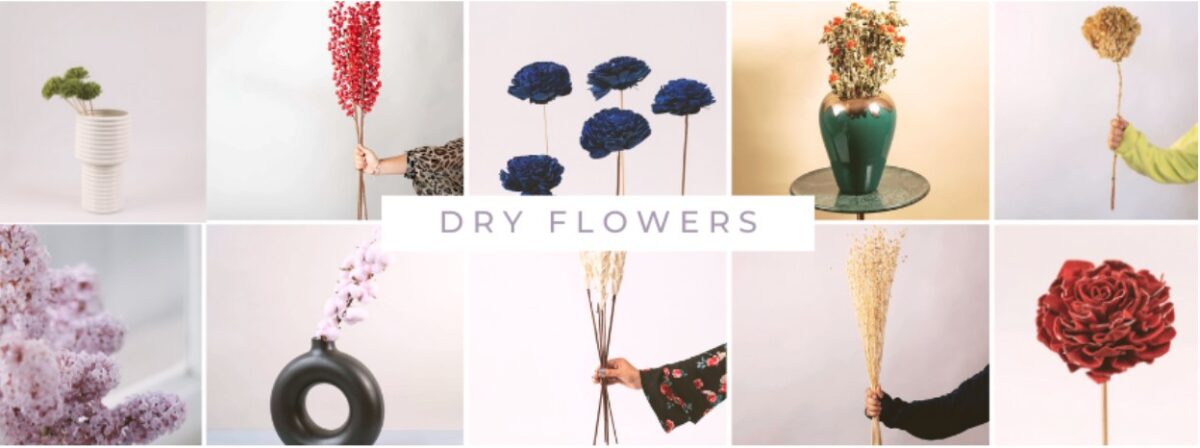 Dried flowers Decor