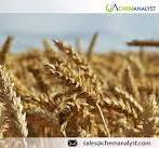 Global Wheat Market And Size Forecast Report 2024-2032