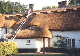 Why You Should Hire a Master Thatcher in Hampshire for Your Roof