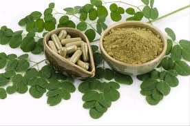 Exploring the Benefits of Moringa Powder for Weight Management