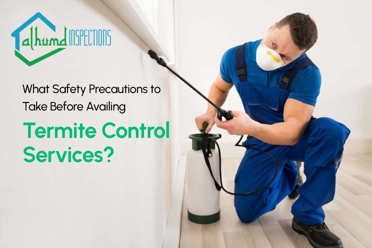 Benefits of Professional Termite Inspections for Homeowners