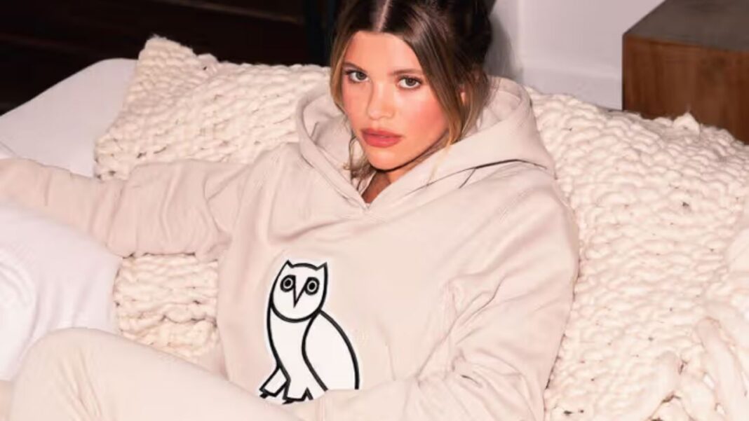 Why Are OVO Hoodies So Popular Among Celebrities