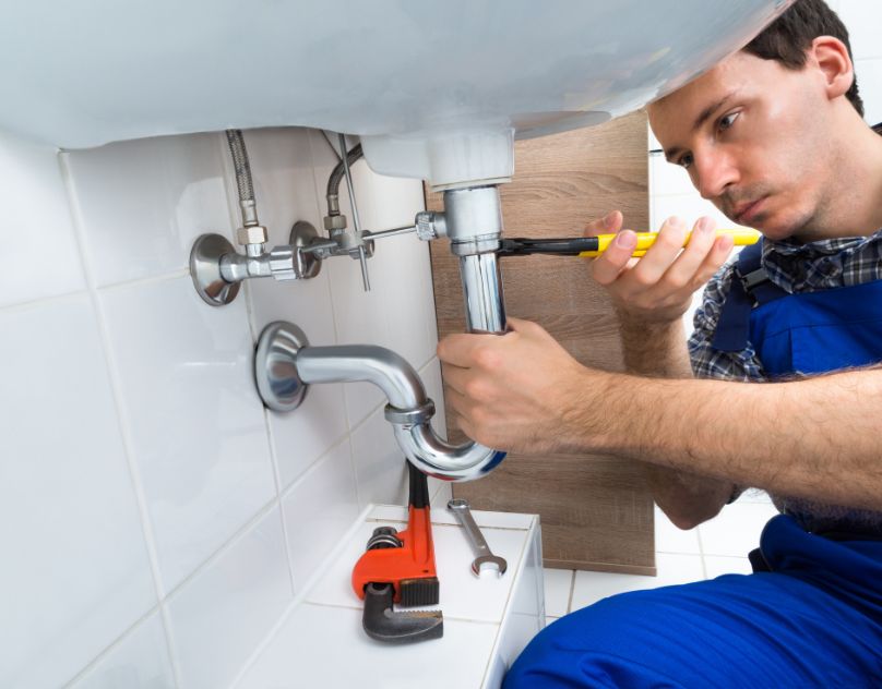 What to Expect from a Professional Plumber in Dural