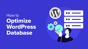 WordPress Database Optimization