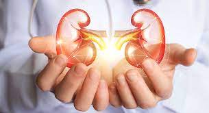 How can-you-protect-your-kidneys-from-kidney-disease