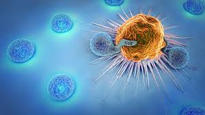 Cancer Immunotherapy Market Analysis And Growth Forecast 2024-2032