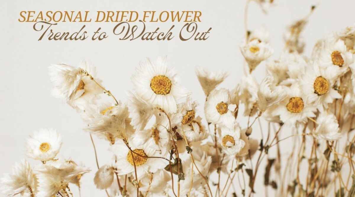 natural dried flowers