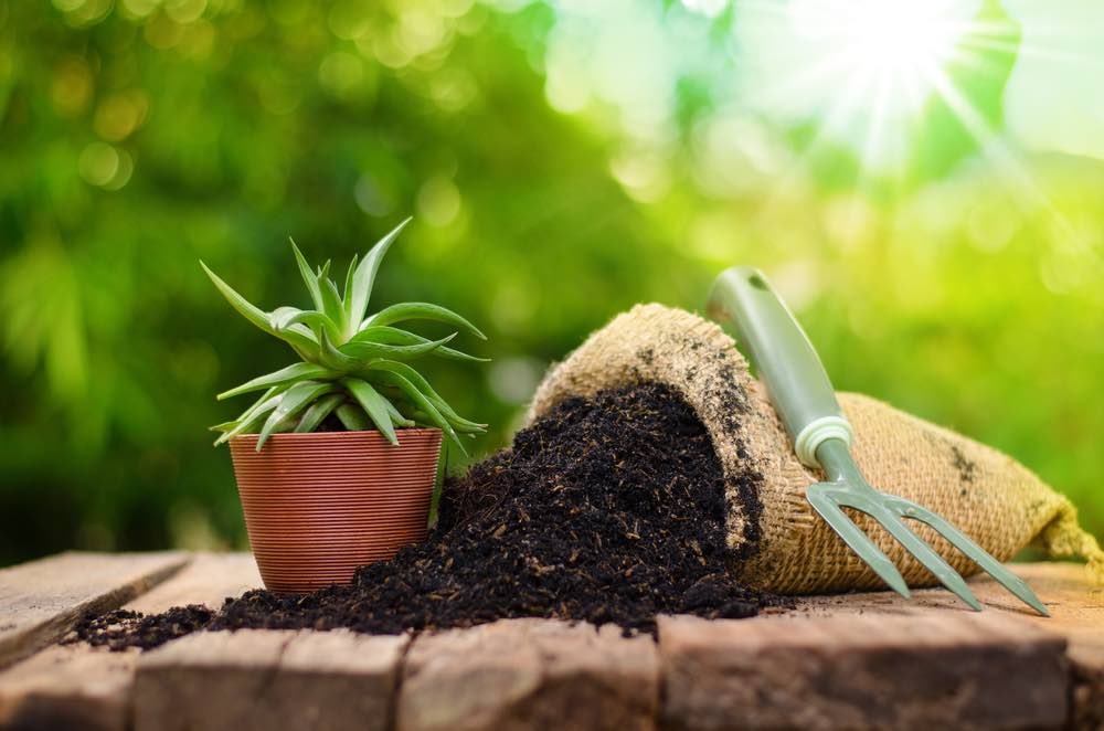 Organic Fertilizer Manufacturing Plant Cost Report 2024: Setup Details, Business Plan and Raw Material Requirements