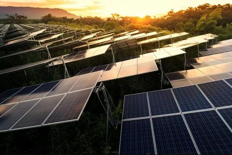 Solar panels reflecting the warm hues of a sunset in a serene field, showcasing renewable energy in harmony with nature.