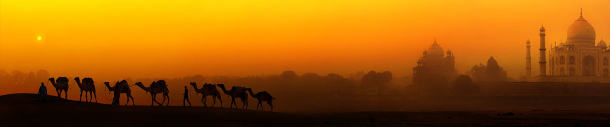 Jaisalmer Tour Package from Jaipur